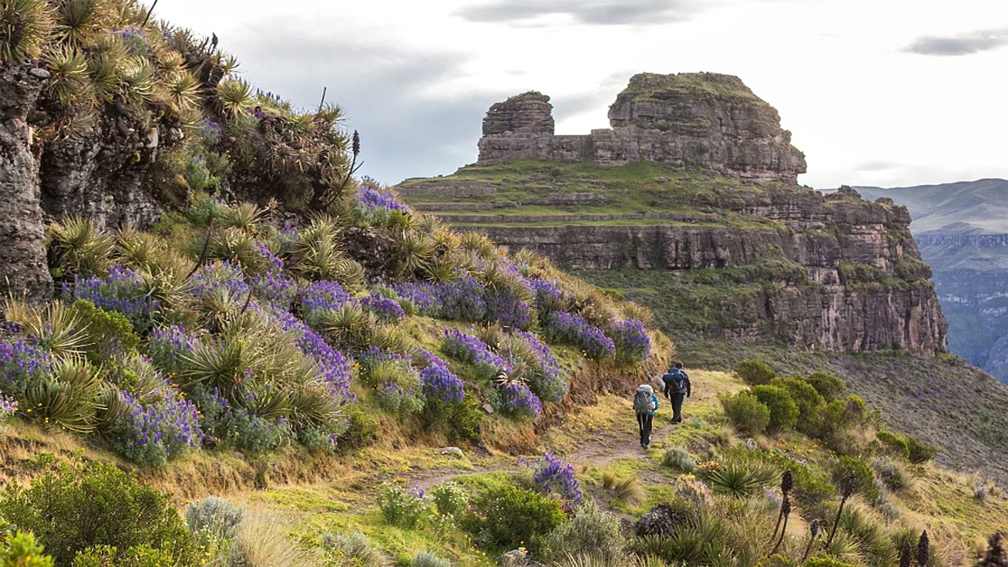Waqrapukara viajes cusco peru tours travel trekking caminatas