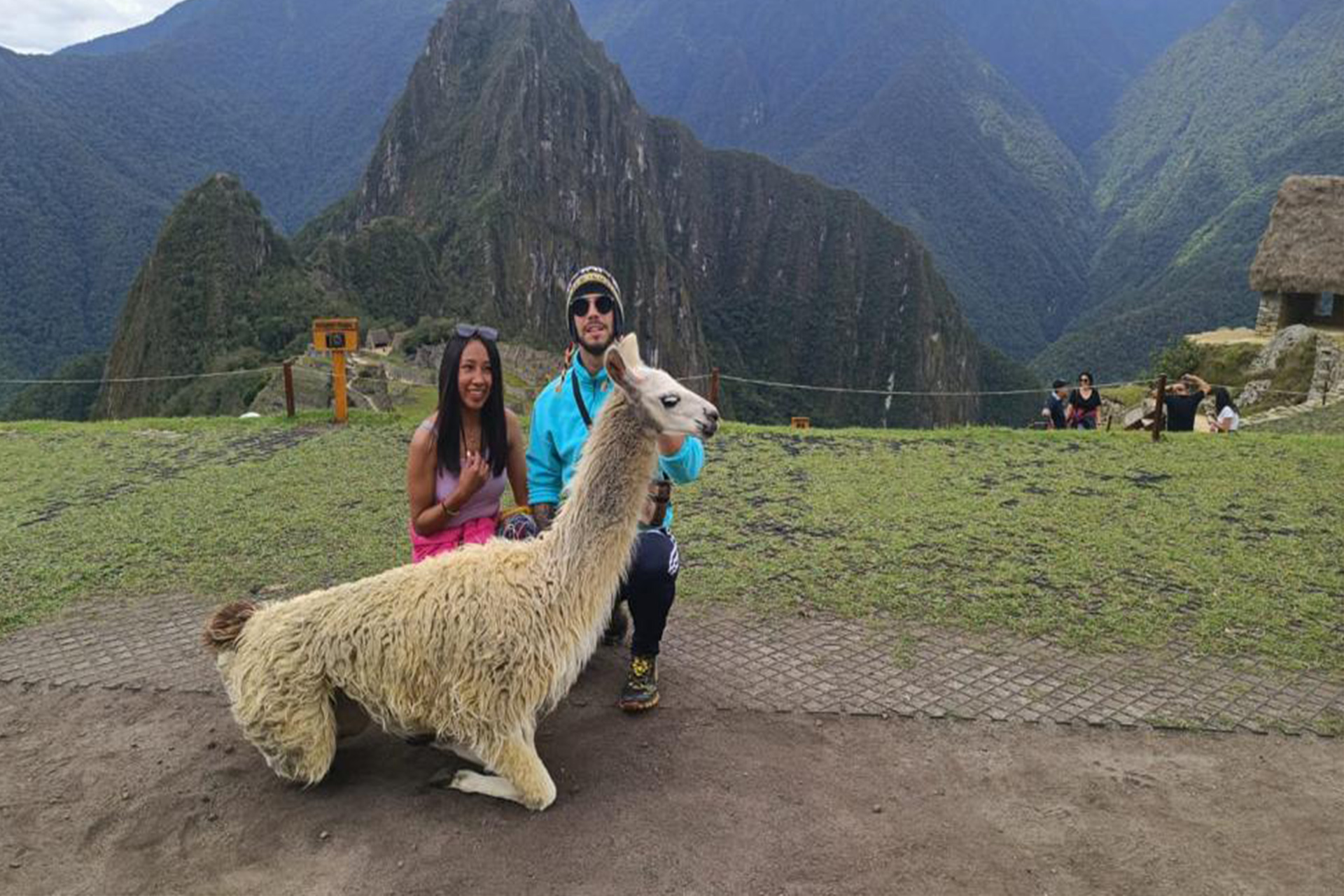 tour a cusco machu picchu por tren desde cusco peru