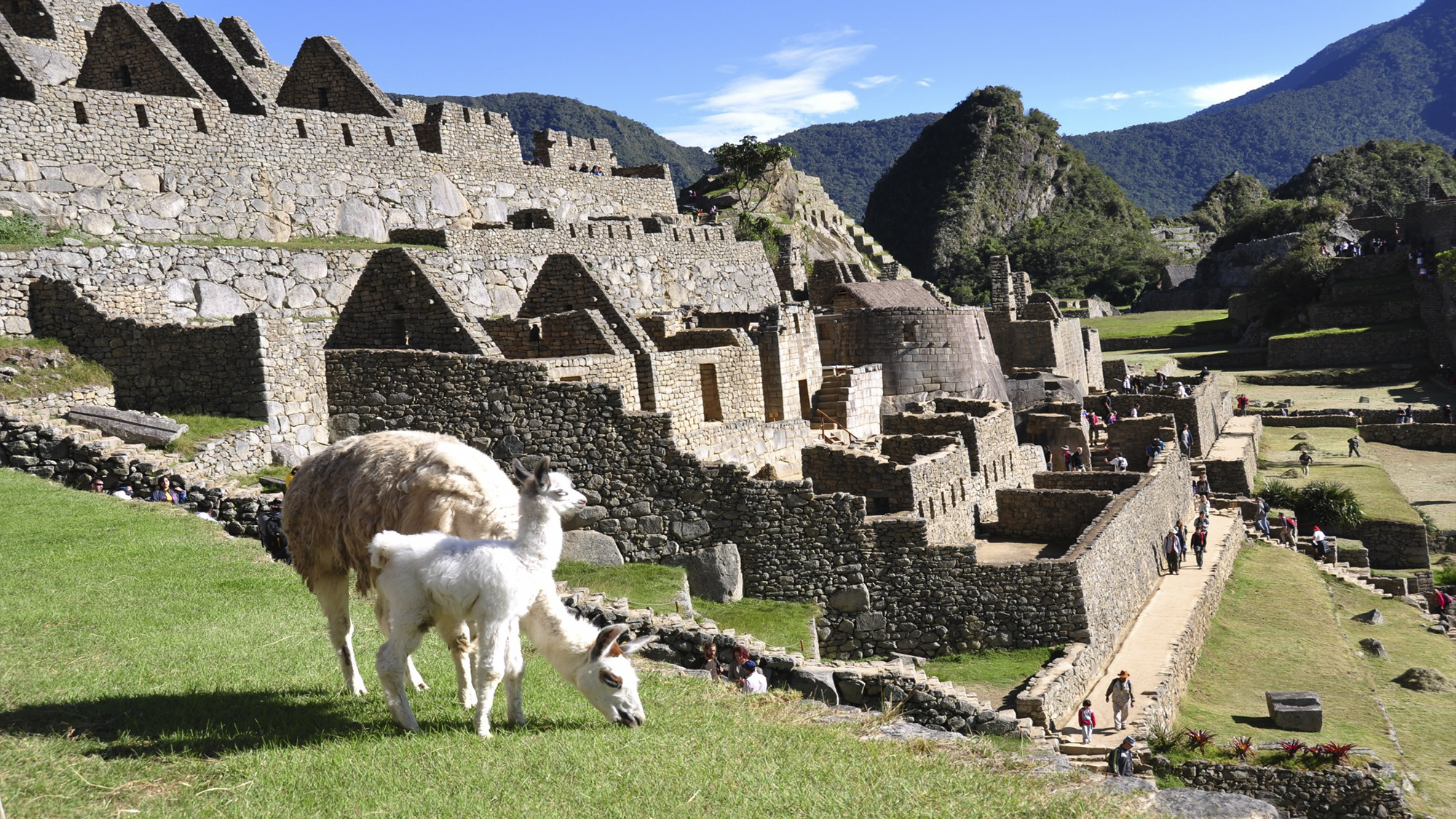 viaje machu picchu cusco poroy peru tren tour